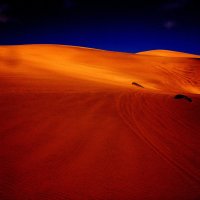 Пустыня Намиб. Намибиа :: Jakob Gardok