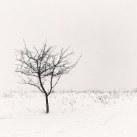 The winter one. :: Андрий Майковский