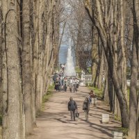 Весенняя прогулка в Петергофе :: bajguz igor