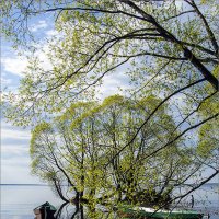 Весна на Плещеевом озере :: Дмитрий Потапов