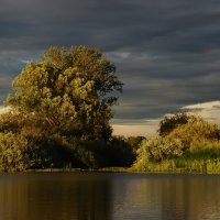 На озере :: Борис Ряузов