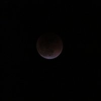 Полное лунное затмение 31.01.18 :: Светлана 
