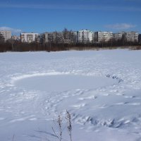 Что за странный круг на озере? :: Ираида Мишурко