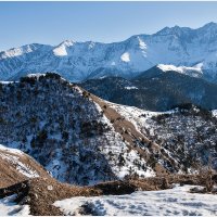 Январь в горах Ингушетии :: Ольга *