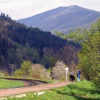 В Карпатах :: Роман Савоцкий