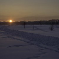 Солнце на весну :: Александра 