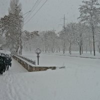 Снегопад :: Татьяна Ларионова