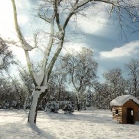 Зима :: Роман Савоцкий