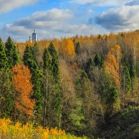 Осенний лес :: Сергей Цветков