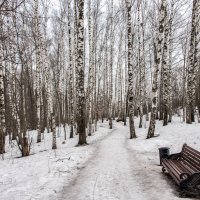 Март. :: Владимир Безбородов