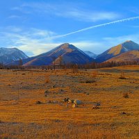 Фотография природы :: Анатолий Иргл