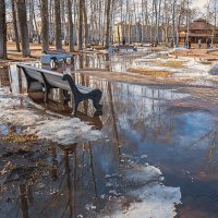 Весна в парке :: Любовь Потеряхина