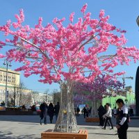 Апрель пришел в Москву. :: Михаил Столяров