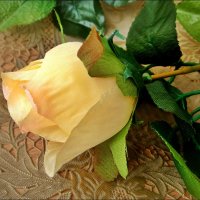 Бутон шёлковой розы :: Нина Корешкова