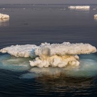 Осколки ледового припая :: Артём Удодов 