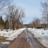 "Дачная" дорога :: Татьяна Соловьева