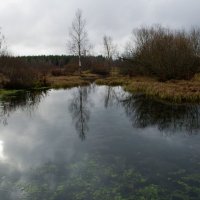 Прозрачность воды :: Станислав Гераськин