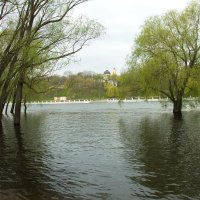 апрельское половодье :: Владимир Зырянов