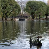 Осень в городе 2. :: Юрий Карелин 