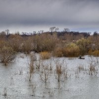 Весна на Суре... :: Влад Никишин