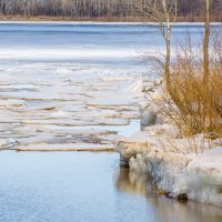 весна :: Гульнара Шафиева