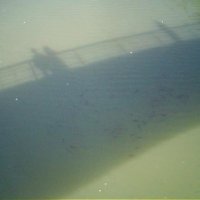 Тень моста, рыбы в воде :: Smit Maikl 