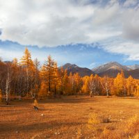 Осенний пейзаж :: Анатолий Иргл