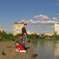 У рыбака сын - голубятник :: Андрей Лукьянов