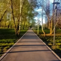 В парке :: Георгий Морозов