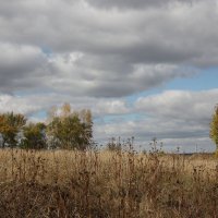 Осенние травы :: ZNatasha -