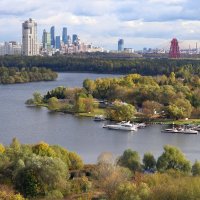 Строгинская пойма, Москва :: Николай Соколухин