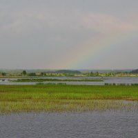 Первая радуга :: Николай Танаев