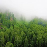 Туман наседает :: Сергей Чиняев 