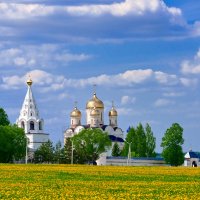 Жёлтые купола,над жёлтым полем :: Николай Соколухин