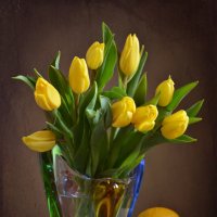 Желтые тюльпаны :: Larisa Simonenkova