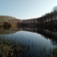 Лесное озеро :: Николай Ефремов