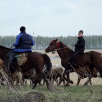 Пастухи :: Светлана Рябова-Шатунова