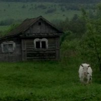 Старая банька и коза :: Маруся Маруся