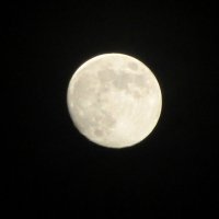 Луна :: Яна Михайловна