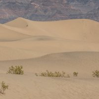Песчанные дюны в Долине Смерти :: Ольга Петруша