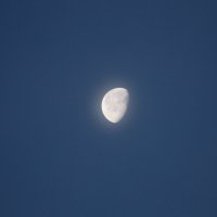 Moon :: Dmitriy Popov