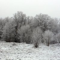 Зима. :: Slav51T 