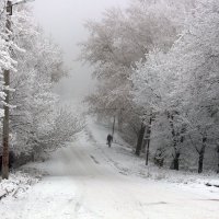 Зима. :: Slav51T 