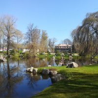Японский сад в таллинском Кадриорге :: veera v