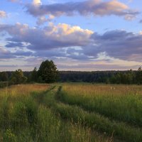 проселочная дорога :: оксана 