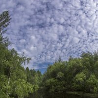 Место, где живет водяной... :: Павел Федоров