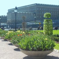 В парке Стокгольма :: Татьяна Гусева
