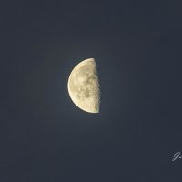 Пол-луны, последняя четверть в предрассветные часы :: Uliya 