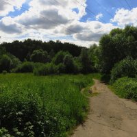 Вот, уж и июня осталось на донышке :: Андрей Лукьянов