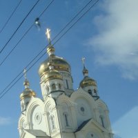 храм Спасо-Преображенский Кафедральный собор.Хабаровск :: Ирина Мозерова